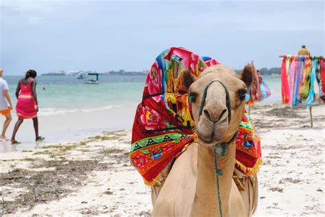 Things to do in Mombasa – Exciting reasons to visit Mombasa - Tiketi ...