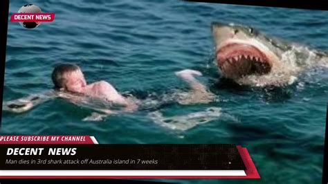 Man dies in 3rd shark attack off Australia island in 7 weeks I DECENT ...