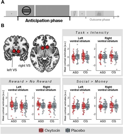 Ventral striatum (VS) activation during the reward anticipation phase.... | Download Scientific ...