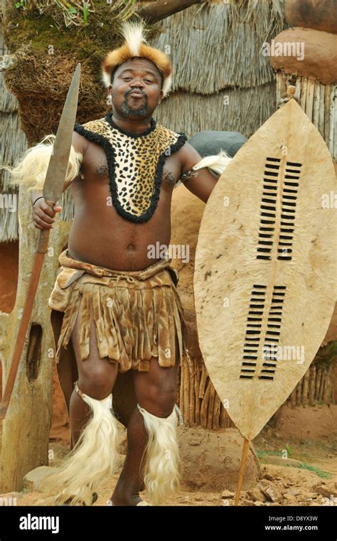 People, adult man, ethnic, Zulu warrior, traditional ceremonial dress, shield and spear, war ...