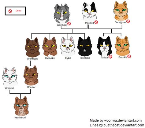 Tallstar's tree by Blazesong on DeviantArt