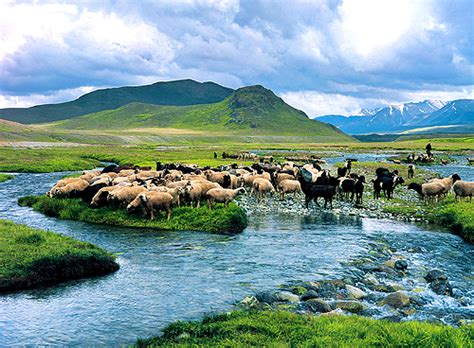 Deosai Plains Pakistan ~ Lovely Pakistan