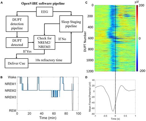 Frontiers | Closed-Loop Targeted Memory Reactivation during Sleep Improves Spatial Navigation