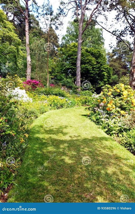 Garden Path stock photo. Image of grass, trees, english - 93580296