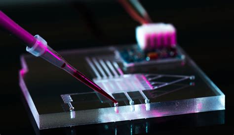 Microfluidics Applications, Systems, and Technologies