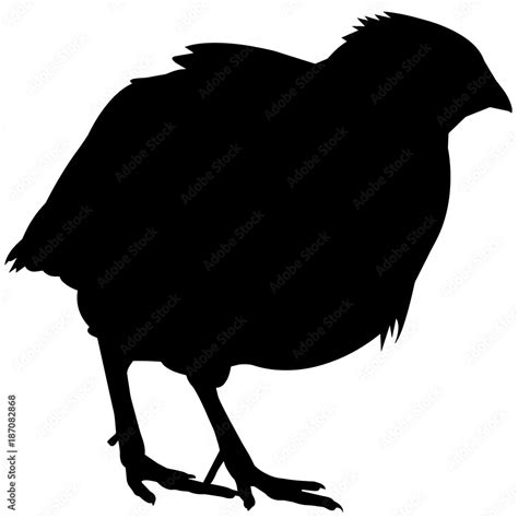 Quail Silhouette Vector Graphics Stock Vector | Adobe Stock