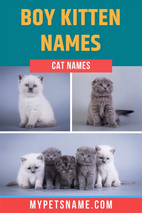 150 disney inspired cat names for your adorable new kitty – Artofit