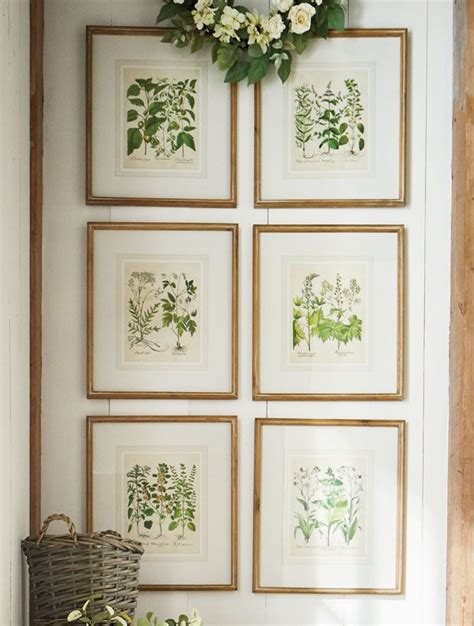 Fir Framed Botanical Print Set of 6 | | Framed botanical prints, Botanical prints decor ...