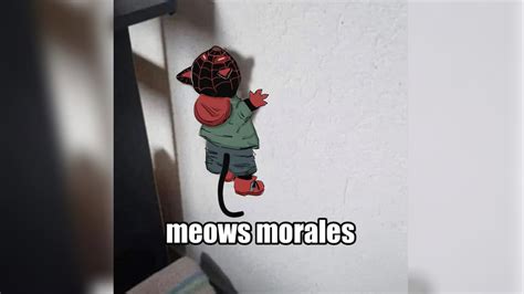 Is 'Meows Morales' Canon? The Origin Of Spider-Man's Viral 'Miles Morales' Cat Character ...