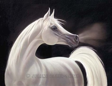 Arabian Stallion Horse Art White Arabian Horse Art by ArtByJulene