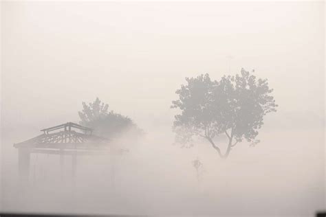 Flights delayed as fog engulfs Delhi, visibility affected – India TV