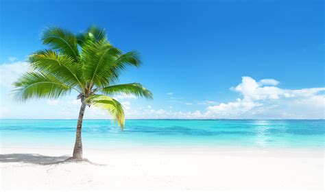 Top Beaches In The Caribbean 2024 - Eddie Gwennie