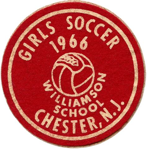 Williamson School Sports Patches – Chester Library, Local History Department