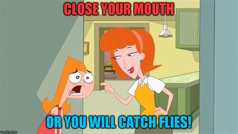 Phineas And Ferb Memes Mom