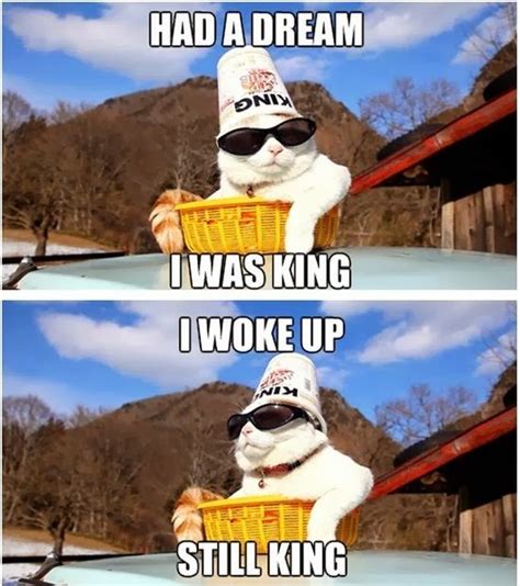 Had a dream i was king, i woke up still king | Best of funny memes