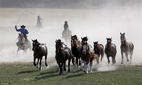 Amazing pictures show the last days of cowboy culture as Western traditions die out | Daily Mail ...