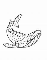 Shark Coloring Pages Top 15 Color Sheets For Kids Of All Ages sketch template