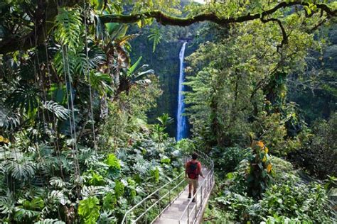 Big Island's popular Akaka Falls State Park begins charging visitor ...