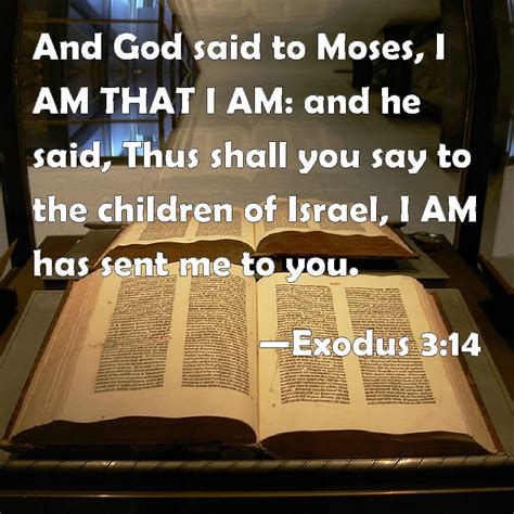 Exodus 3:14 And God said to Moses, I AM THAT I AM: and he said, Thus ...