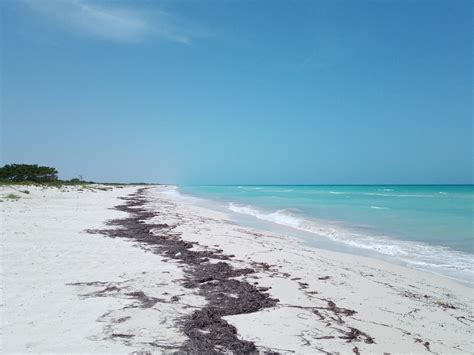 Playa Las Coloradas 🏖️ Las Coloradas, Yucatan, Mexico - detailed features, map, photos