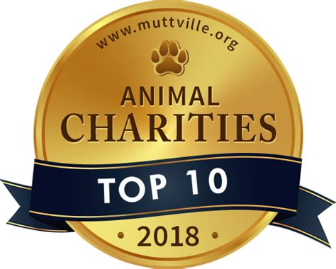 10 Best Animal Charities of 2019 | Top Dog Tips Awards Program