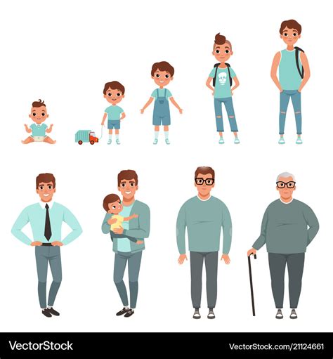 Life cycles of man stages of growing up from baby Vector Image