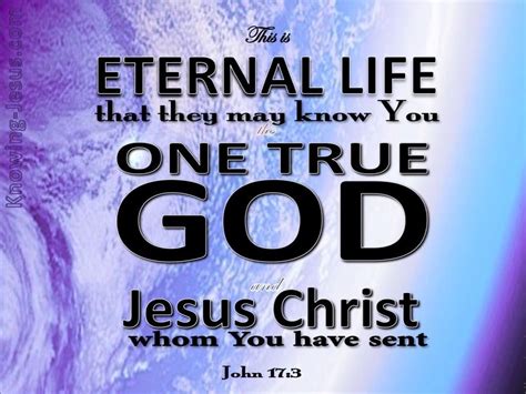 John 17-3 This Is Eternal Life purple Bible Verses Quotes, Jesus Quotes, God Jesus, Jesus Christ ...