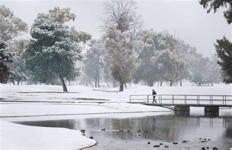 Tucson snow updates: Road to Mount Lemmon closed, some flights canceled | Local news | tucson.com