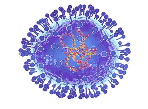 Humanmetapneumovirus