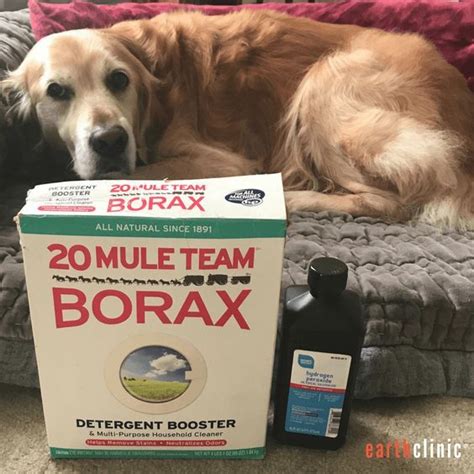 Borax for Mange - Ted's Remedy for Demodectic and Sarcoptic Mange | Dog treatment, Dog mange ...