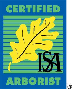 Society of Arboriculture Certified Arborist Logo PNG Vector (EPS) Free ...