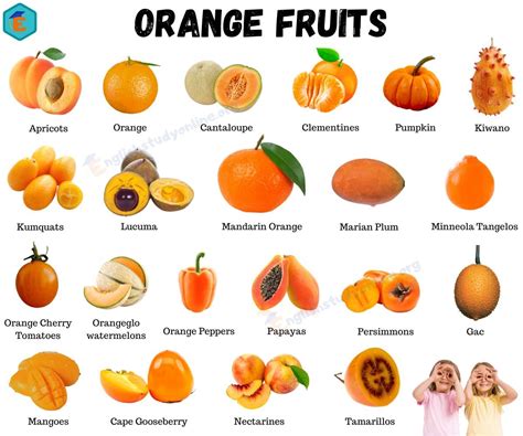 33 Orange Fruits: Best Orange Fruits and Vegetable with ESL Pictures - English Study Online