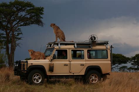 Safari anyone? | Land rover, Land rover defender, Defender