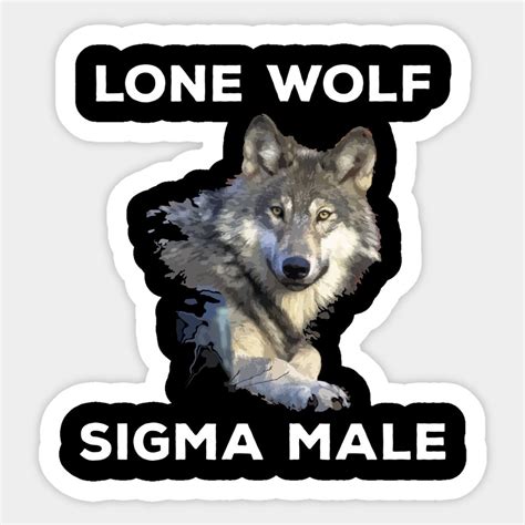 Lone Wolf Sigma Male Traits Personality, We are better than Alpha by ...