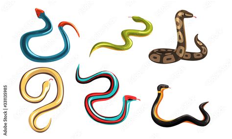 Collection of Snakes, Venomous Snake Creatures of Different Colors ...