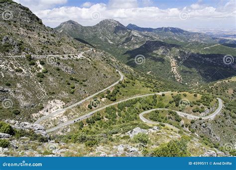 Zigzag road stock image. Image of shade, hill, vacation - 4599511