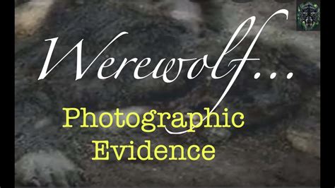 Real Werewolf Pictures Images Evidence Proof Werewolf's Feedback - YouTube