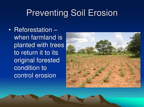 PPT - Preventing Soil Erosion PowerPoint Presentation, free download - ID:2269224