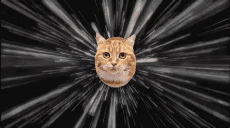 Space Cat GIF - Space Cat Flying - Discover & Share GIFs