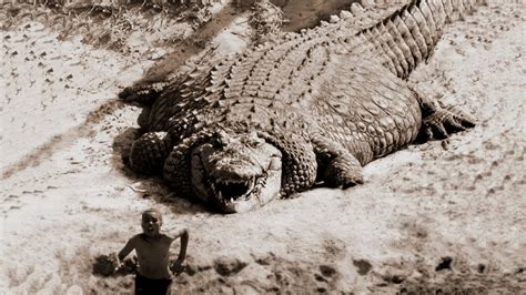 TOP 10 LARGEST CROCODILES In The World | Fishing