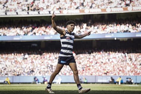 2022 AFL Grand Final player ratings: Geelong Cats - AFL News - Zero Hanger