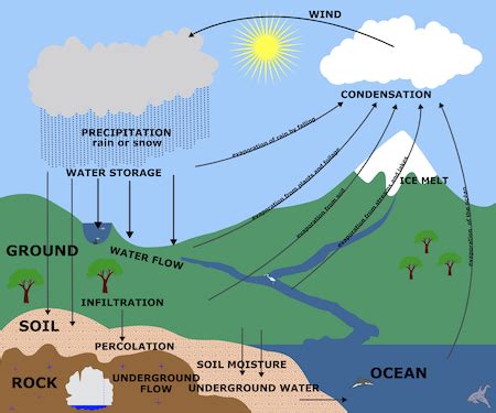 Marine West Coast | Location, Characteristics & Climate - Lesson | Study.com