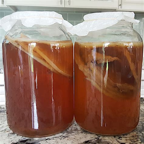 SCOBY not floating – Sinking SCOBY - Bucha Brewers