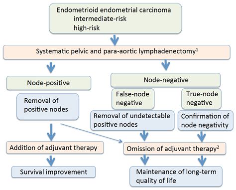 Cancers | Free Full-Text | Therapeutic Benefit of Systematic ...