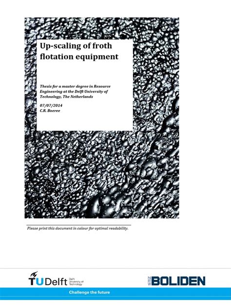 Up-Scaling of Froth Flotation Equipment | PDF | Mining | Chemistry