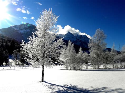 Free Images : snow, winter, sky, tree, nature, natural landscape, cloud, freezing, daytime, alps ...