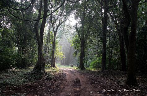 Aralam Wildlife Sanctuary, Eco Tourism in Aralam