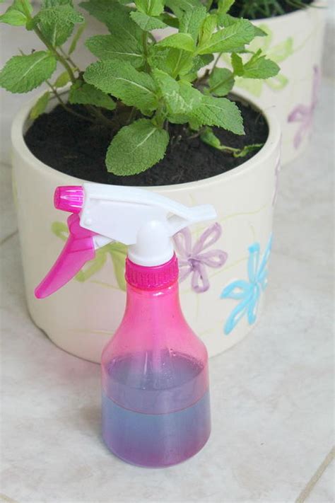 DIY Natural Window Cleaner | DIYIdeaCenter.com