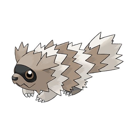 Zigzagoon | Pokédex | The official Pokémon Website in Singapore