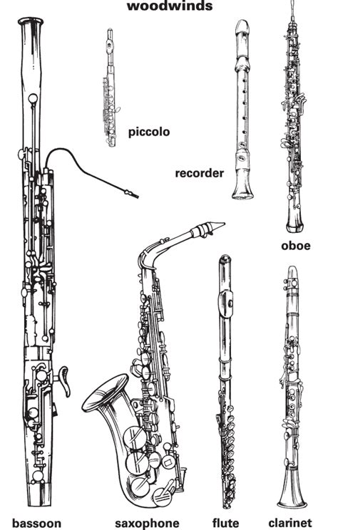 Woodwind Definition & Meaning | Britannica Dictionary